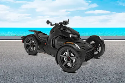 ライカースポーツ900のイメージ画像