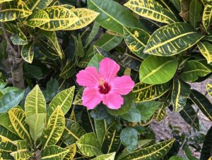 秋冬の宮古島はトライク日和。雨天時の対応について